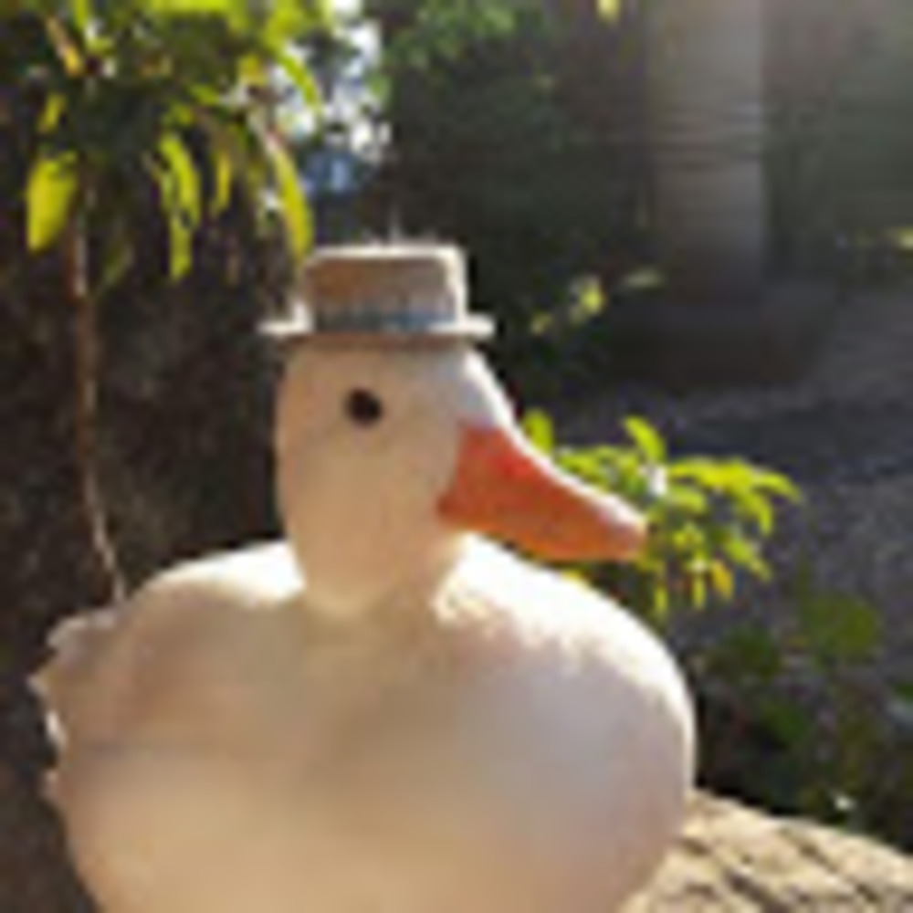 Meet your Posher, Sebastian